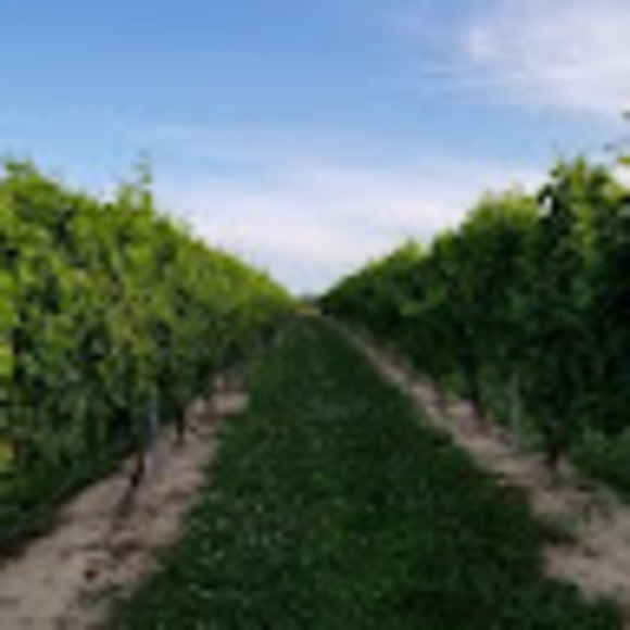 Meet your Posher, K - Picture 1 of 1